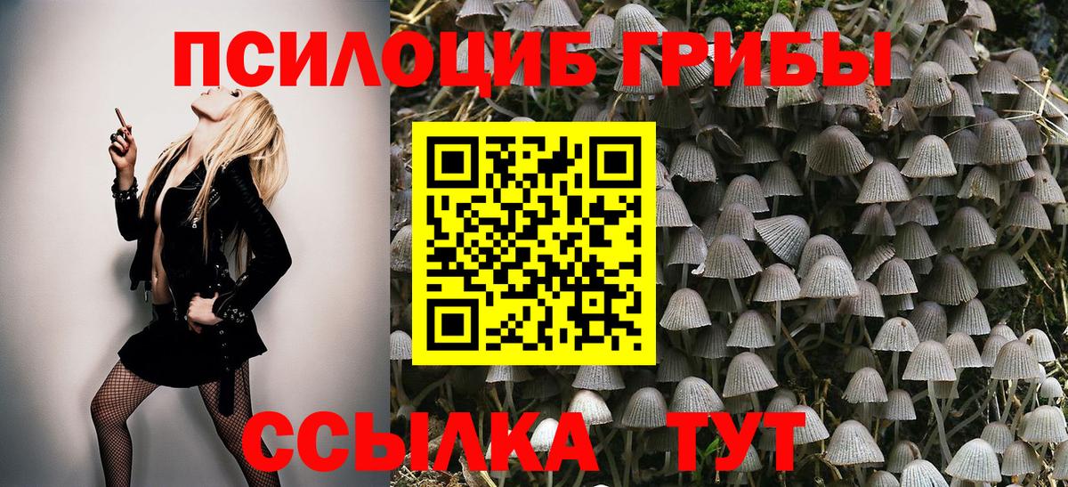 Псилоцибиновые грибы Psilocybine cubensis  Вход с VPN  Бузулук  что такое наркотик  Галлюциногенные грибы MAGIC MUSHROOMS 