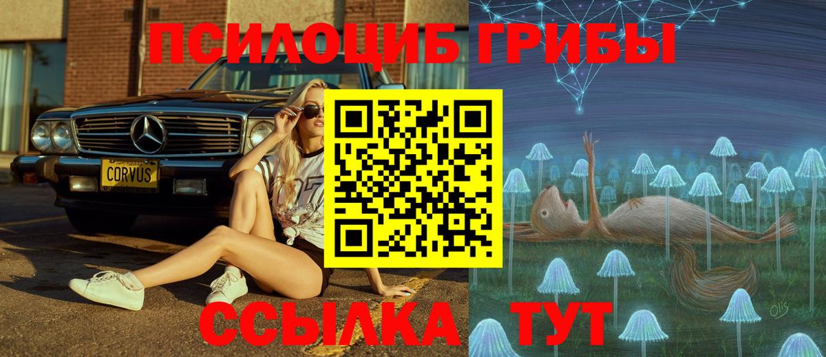 Псилоцибиновые грибы мухоморы Бузулук